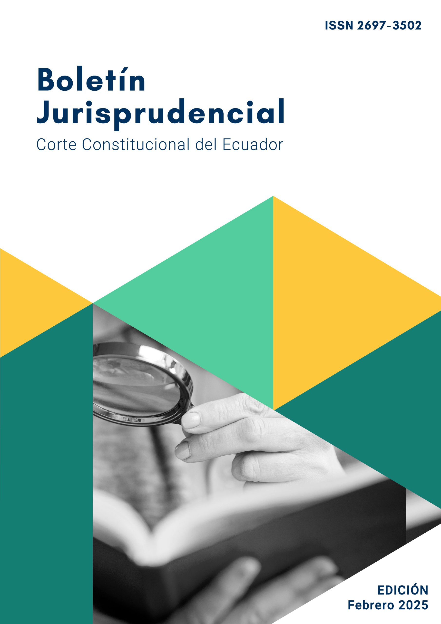 Boletín Jurisprudencial – Edición febrero 2025