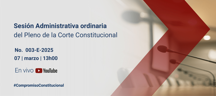 Pleno administrativo interna (4)