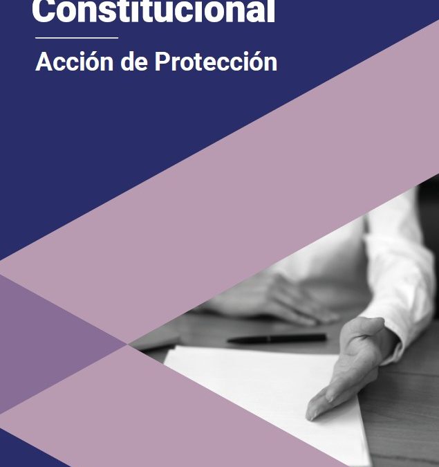 Guía de Jurisprudencia Constitucional sobre Acción de Protección