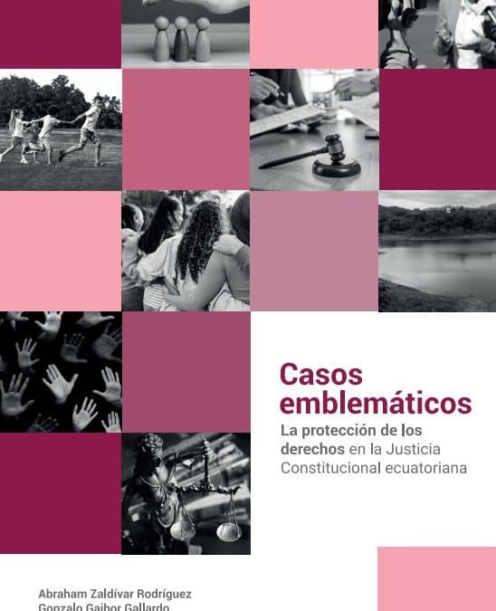 Casos emblemáticos. La Protección de los Derechos en la Justicia Constitucional